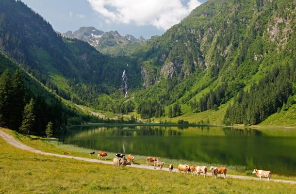 Gemütliche Wanderung rund um den Steirischen Bodensee
